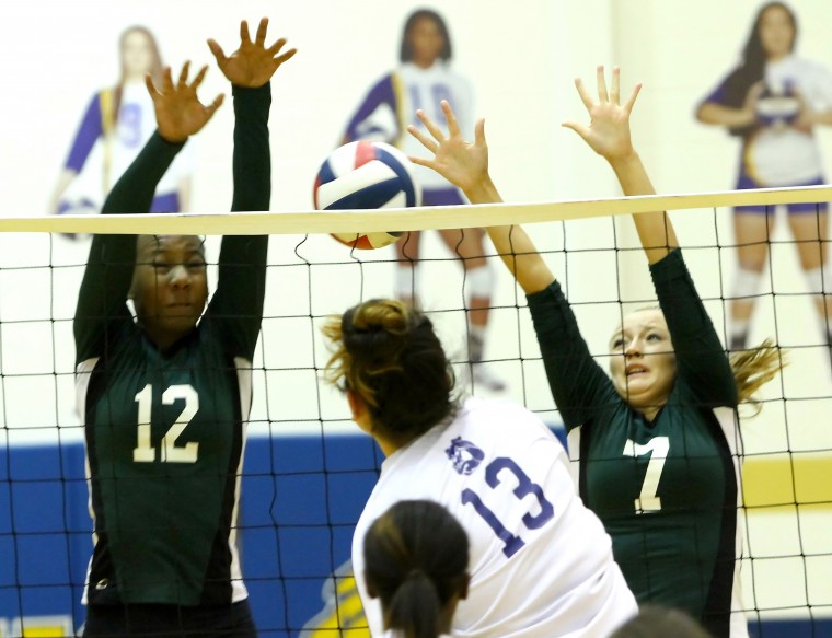Cove defeats Ellison 3-0